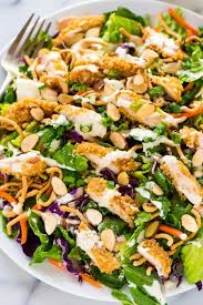 Chinese chicken salad dressing recipe with mayonnaise : Applebee S Oriental Chicken Salad With Oriental Dressing