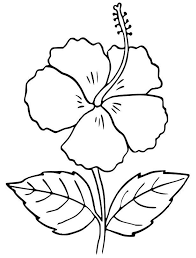 Neueste Kostenlose Hibiskus Konzepte Erweitern Sie Tropische Hibiskus In Bezug Auf Eine Flower Outline Flower Coloring Pages Flower Printable