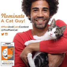 Love Cats Pictures Boy Who Loves Cats Kids T-Shirt Guys Who Love Cats  Characteristics Of