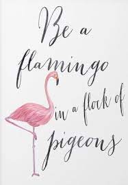 Be A Flamingo In A Flock Of Pigeons Print Flamingo Print Flamingo Art Inspirational Quote Print Art Quotes Inspirational Flamingos Quote Quote Posters