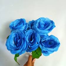 Daftar nama bunga, gambar bunga cantik, indah, unik, dan langka, lengkap dengan penjelasannya. Jual Produk Tanaman Bunga Mawar Biru Termurah Dan Terlengkap Agustus 2021 Bukalapak