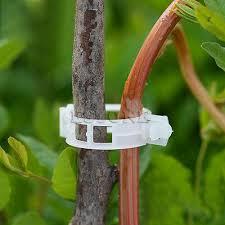 Garden trellis company sell trellis, fence panels, arbours & more, with outstanding customer service. 50 Pcs Plant Vine Stem Clips Supports Connect Trellis Twine Cages Flowers Ga Plant Ties Supports Home Garden Worldenergy Ae