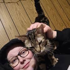 Glucose levels in cats: normal range and concerns