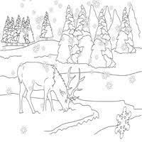 If the decision of the wild is looking at you, why not color it. Foraging Elk Coloring Pages Surfnetkids
