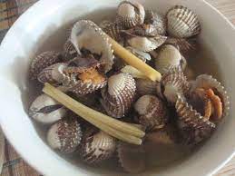 Ini kehilangan besar yang kami alami, ujar riebesell. Cendawan Cheese Kerang Rebus Cicah Air Asam Facebook