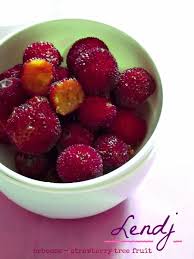 Many cultivars of strawberry tree in the united states reach a mature size of 8 to 12 feet tall and wide, though the species can become a tree as tall as 35 feet in the right conditions. Strawberry Tree Fruit Arbouse El Lendj Fruit Algerian Recipes Sweet Recipes