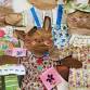 Bags to Bunnies