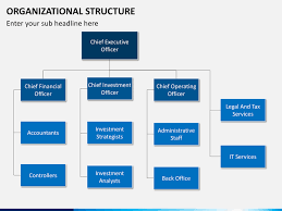 Organizational Structure