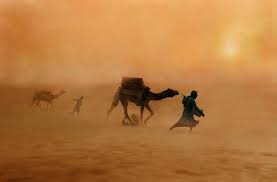 We have collected some of the best entries for the national geographic photos contest for your inspiration. Steve Mccurry Fotografia World Press Photo National Geographic
