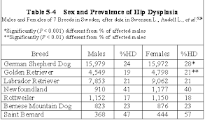 Hd In The German Shepherd Dog A Statistical Study Sirius Dog