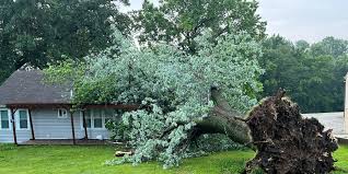Severe Storms Leave Trail of Damage in Kansas City Metro