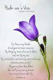 Pin By Corrie Kruger On Wense Afrikaans Quotes Afrikaans Afrikaanse Quotes