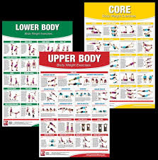 Body Weight Exercises 3 Poster Set Professional Fitness Wall