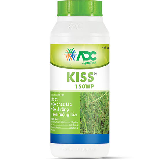 Kiss 150WP