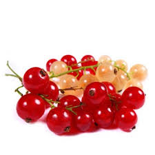 La Groseille Presentation Production Consommation Interfel Les Fruits Et Legumes Frais