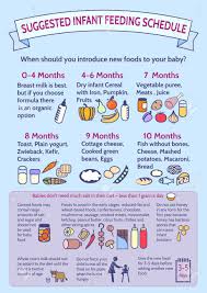 Detailed Information On Baby Food Infographic Presentation Template