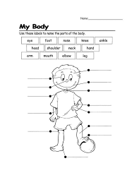 Primero de primaria by mluz1505. 21 Awesome Label The Parts Of The Body Worksheet For Kids Atividades Em Ingles Para Criancas Aulas De Ingles Para Criancas Ensino De Ingles