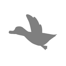 Try hiding behind the pieces of grass that appear in the foreground to lay traps for unsuspecting opponents! Duck Hunt Stage Smashwiki The Super Smash Bros Wiki