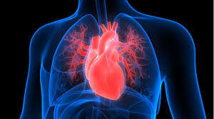 7 Lifestyle Changes for Heart Failure Management | Narayana Health