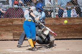 Lees makes all-IMC first team