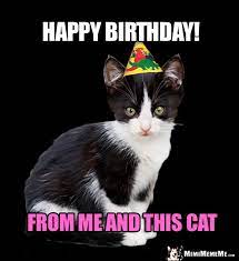 Sweet Cat Birthday Greetings Funny Cat B Day Memes Cute Purr Day Humor Pg 17 Mimimememe