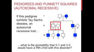 Pedigree practice problems worksheet really should be child friendly. Solving Pedigree Genetics Problems Youtube