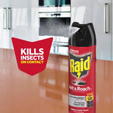Raid® Outdoor Ant & Roach Killer & Defense Spray Fresh Scent, 17.5 Oz -  Kroger