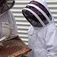 Session 1 - Family Fun Day with Bees event image