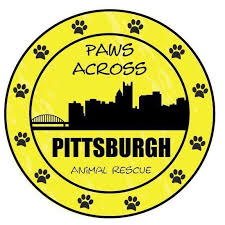 Loading… raleigh, nc 27601 change. Pets For Adoption At Paws Across Pittsburgh In Springdale Pa Petfinder