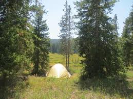 The city of steamboat springs is a home rule municipality that is the county seat and the most populous municipality of routt county, colorado, united states. Rabbit Ears Pass Kremmling Steamboat Springs Co Us 40 By Routt National Forest