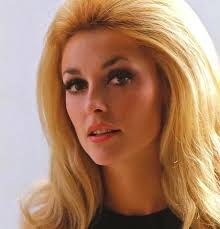 Ladies and Gentlemen, no better profile than beautiful Miss Sharon Tate,  even with red hair, not her natural hair color.