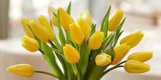 We, at exhibitcoupon provides manually collected and verified jewelosco.com coupons, last updated on january 29,2021. Facebook