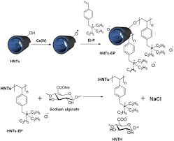 Conversii euro → leu moldovenesc. Halloysite Nanotubes In Polymer Science Purification Characterization Modification And Applications