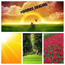 Instagram Photo By Homes Healing S Alasfar Via Iconosquare Feng Shui Instagram Healing