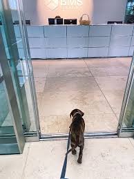 Generally, the first 4 digits identify the banking company, and the latter 4 digits are assigned to the branch. Korbinian Gruber Digitalisierungsmanager Vr Bank Taufkirchen Dorfen Eg Linkedin