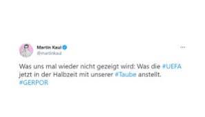 Der alte mann und die taube. Mzvagellckrdwm