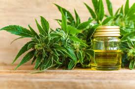 Does CBD Oil Work? The Science Behind Cannabidiol