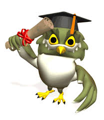 Salam animania , burung adalah hewan indah yang terkadang tingkah mereka lucu dan unik untuk kita perhatikan , berikut saya suguhkan gambar animasi burung bergerak dengan dimensi canvas 1:1. Casquette Cap Gif Find On Gifer