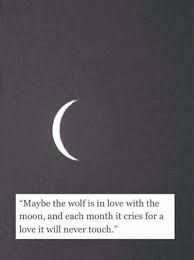 तुम्हरे साथ बिताया हर एक पल सपना सच होने जैसा है. Moon And Life Quotes Quotesgram