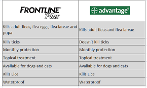 Which Treatment Is Better Frontline Plus Vs Advantage