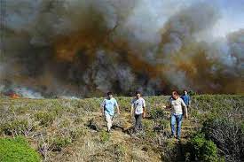 El caso de guadalajara, donde murieron 11 personas debido a la negligencia de un grupo de excursionistas que se dejaron. 11 Muertos En Un Incendio Forestal Que Arrasa Miles De Hectareas En Guadalajara Espana El Pais