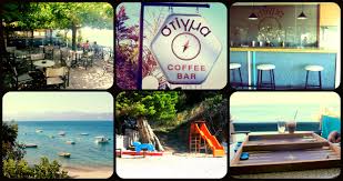 If you have any questions, please email to. 7 Beach Bars Near Ziria The Tropical Dog
