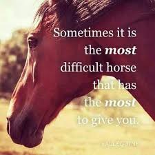 Two Feet Move Your Body Four Feet Move Your Soul Meaning Ahem You Mean Feather That Horse Has Been The Most Stubborn Horse To Practically Anyone And Th Inspirational Horse Quotes Horse Riding Quotes Equine Quotes