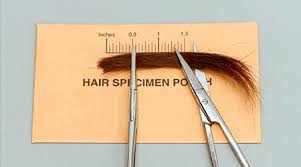 Requestatest.com has been visited by 10k+ users in the past month Hair Follicle Drug Test Usa Mobile Drug Testing