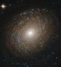 Estamos interesados en hacer de este libro gratis es una de las tiendas en línea favoritas para comprar ngc 2608 galaxia a precios mucho. Ngc 2985 Wikipedia