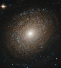 Meet ngc 2608, a barred spiral galaxy about 93 million light years away, in the constellation cancer. Ngc 2985 Wikipedia