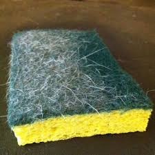 Use A Dry Sponge To Collect Dog And Cat Hair Off Your Couch Or Chair It Works Better Then The Swiffer Pet Dog Hair Removal Cleaning Pet Hair Pet Hair Removal
