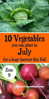 10 Vegetables To Plant In July Zone 9 Fall Garden Vegetables Planting Vegetables Organic Vegetable Garden