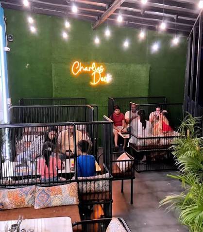 One of the best Rooftop Cafe in Nashik @charlies_deck ❤️😍 . They have an  amazing Ambiance with variety of food options including sizzlers, etc.  Amazing rooftop view 😍 . 📍Charlie's Deck ,