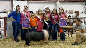 Southern gold sires | 7395 w. Southern Gold Sires So Gold Sires Twitter